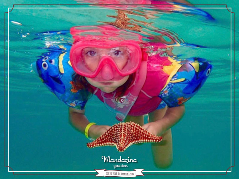 foto-9-Mandarina