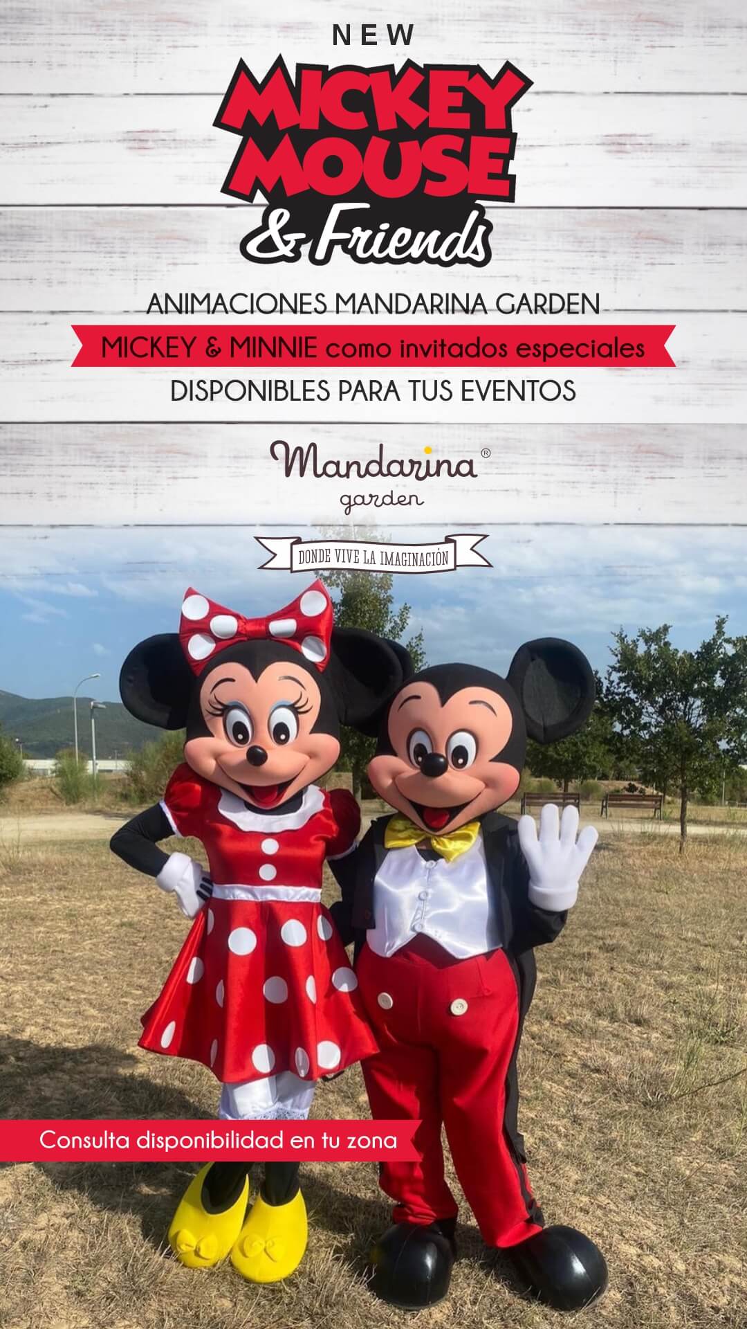 ¡Haz que Mickey o Minnie te acompañen en la fiesta de tu comple!